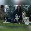 Charming Souls on Paws profile