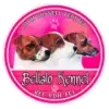 Bellalo profile