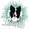 Licasa profile