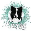 Licasa profile