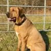 aus dem Moorbektal profile
