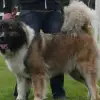 Luhnethal profile