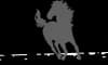 Tierschutzverein Harlingerland e.V. Logo