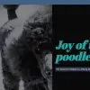 Joy of the poodles profile