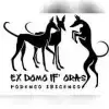 ex domo If’ Oras profile
