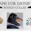 Apis cor Leonis profile