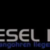 Eselheim Merlin Logo
