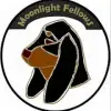 from Moonlight Fellows profile
