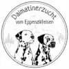 vom Eppenzillfelsen profile