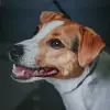 Talk about Wack's profile