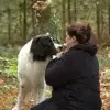 vom Markgräflerland profile