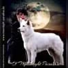 of Moonlight Paradise profile
