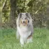 von Wildes Hof profile