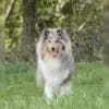 von Wildes Hof profile
