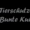 Tierschutzverein 'Bunte Kuh' e.V. Leer Logo