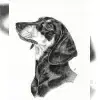 vom Weigler Wald profile