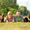 of Free Flying Foxes profile
