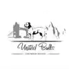 United Bulls profile