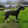vom Lettenbödle profile