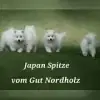 vom Gut Nordholz profile
