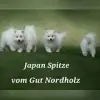 vom Gut Nordholz profile
