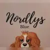 Nordlys Blue profile