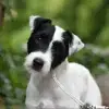 Skywalker's profile