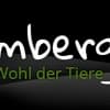 Tierheim Amberg Logo