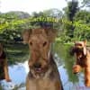 vom Herzteich profile