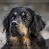 vom Sofienfelsen profile