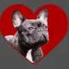 de notre coeur profile