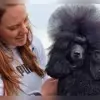 Sina’s Easy Curls profile