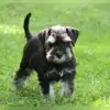 vom Hohmuthteich profile