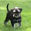 vom Hohmuthteich profile