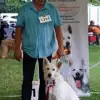 Home of White Alsatian profile
