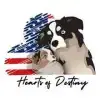 Hearts of Destiny profile