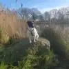 Mehlrodt's profile