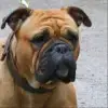 Margeta's profile