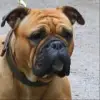 Margeta's profile