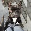 vom Schieferhof profile