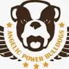 Angelic Power Bulldogs und vom Yangbajain-Tal profile