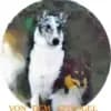 von dem Eisvogel profile