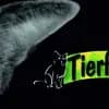 TierfreundLich e.V. Logo