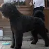 von der Binger Höh profile