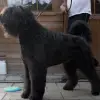 von der Binger Höh profile