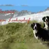 vom Lukashof profile
