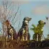 von Oakwood-Forest profile