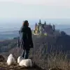 Just Cotton profile
