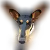 vom Widdumhof profile