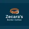 Zecara’s profile